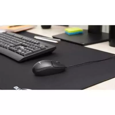 Souris filaire - BLUESTORK - OFFICE 20 - PC /Mac - Noir