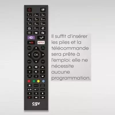 Télécommande Universelle - CGV - FIDELIO MM - Multi-Marques - Sans programmation