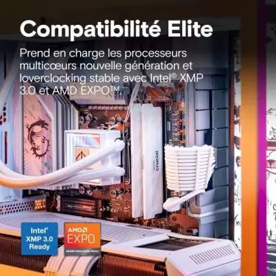 Kit mémoire gamer - CRUCIAL Pro OC - CP2K16G64C32U5W - 32 Go (2x 16 Go) DDR5-6400 UDIMM - CL32 avec dissipateur thermique - Kit mémoire gamer - CRUCIAL Pro OC - CP2K16G64C32U5W - 32 Go (2x 16 Go) DDR5-6400 UDIMM - CL32 avec dissipateur thermique -