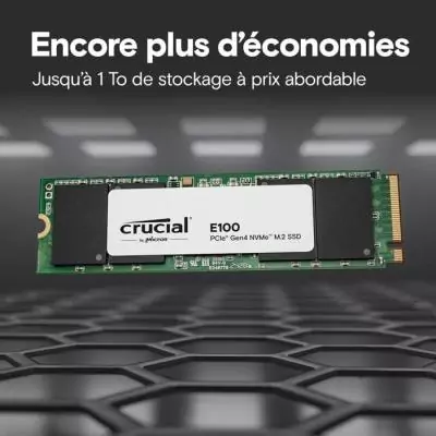 CRUCIAL E100 480G Gen4 2280 CRUCIAL E100 480G Gen4 2280
