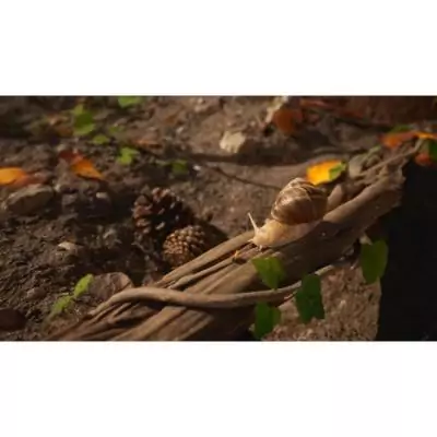 Les Fourmis Empire Of The Ants - Jeu PS5 - Edition Limitée Les Fourmis Empire Of The Ants - Jeu PS5 - Edition Limitée