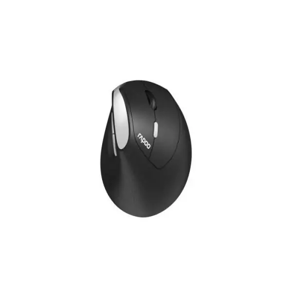 Souris sans fil - RAPOO - EV250 - Ergonomique - 1600 DPI - Clic silencieux