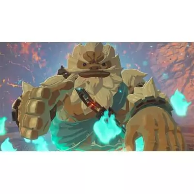 Nintendo The Legend of Zelda Breath of the Wild Switch Standard Français Nintendo Switch