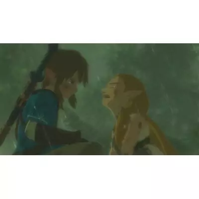 Nintendo The Legend of Zelda Breath of the Wild Switch Standard Français Nintendo Switch