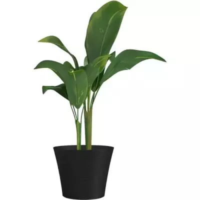 Pot de fleurs - GARDEN ID - Green Care Sense Noir-Anthracite - 50 x 41 Pot de fleurs - GARDEN ID - Green Care Sense Noir-Anthracite - 50 x 41
