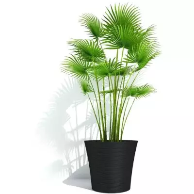 Pot de fleurs - GARDEN ID - Green Care Sense Noir-Anthracite - 50 x 41 Pot de fleurs - GARDEN ID - Green Care Sense Noir-Anthracite - 50 x 41