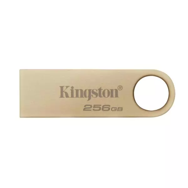 Clé USB Kingston DTSE9G3/256GB 256 GB Doré