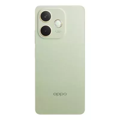 OPPO A5 Pro 5G 16,9 cm (6.67") Double SIM Android 15 USB Type-C 8 Go 256 Go 5800 mAh Vert, Olive