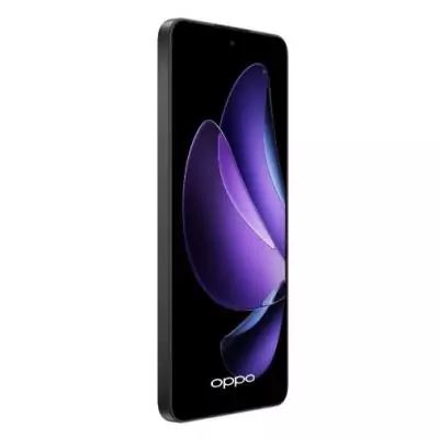 OPPO Reno 13FS 5G 16,9 cm (6.67") Double SIM USB Type-C 12 Go 512 Go 5800 mAh Gris