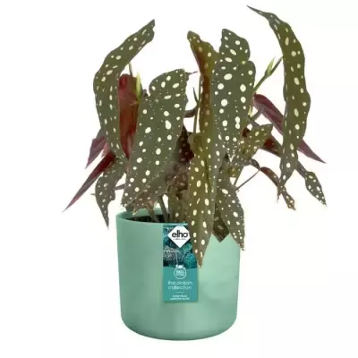 Cache-pot rond 22 cm vert - 100% recyclé - ELHO The Ocean Collection Cache-pot rond 22 cm vert - 100% recyclé - ELHO The Ocean Collection