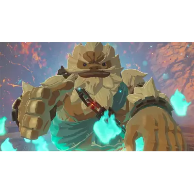 Nintendo The Legend of Zelda Breath of the Wild Switch Standard Français Nintendo Switch