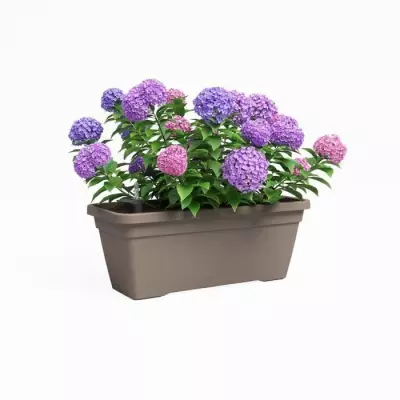 Jardinière ARTEVASI VENEZIA L SWS Taupe - Pratique et Élégante Jardinière ARTEVASI VENEZIA L SWS Taupe - Pratique et Élégante