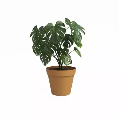 Pot de fleur ARTEVASI CAPRI 40 cm Jaune miel Pot de fleur ARTEVASI CAPRI 40 cm Jaune miel