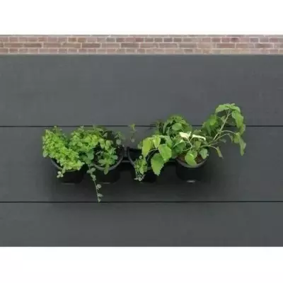 Kit mural de pots 1L - Jardinière murale noire - H 15 x L 60 cm