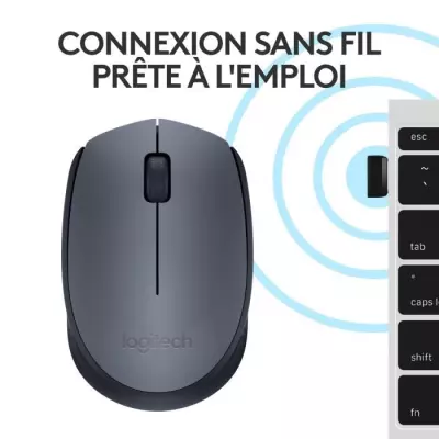Souris Logitech M170 Sans fil Ambidextre Gris Souris Logitech M170 Sans fil Ambidextre Gris
