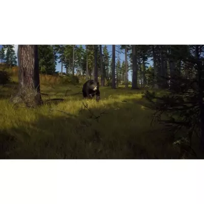 Explorez la nature sauvage avec Way of the Hunter sur Xbox Series X