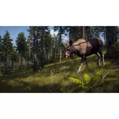 Explorez la nature sauvage avec Way of the Hunter sur Xbox Series X
