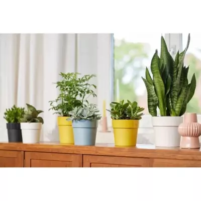 Cache-pot rond bleu 30x27 cm - 100% recyclé