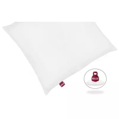 Oreillers moelleux ICEBERG 60x60cm - Lot de 2, Made in France