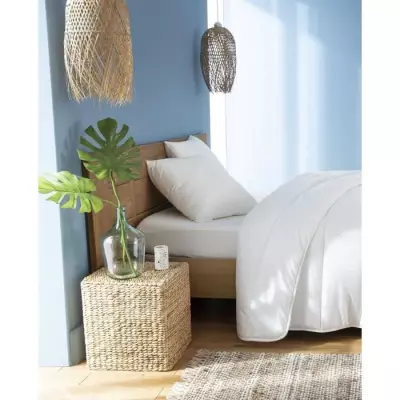 Oreillers FluffyDream 60 x 60 cm - Lot de 2, Confortable & Moelleux