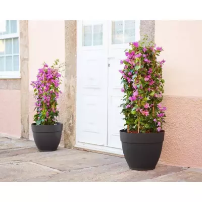 Pot Capri Campana 35cm Anthracite pour une touche de modernité Pot Capri Campana 35cm Anthracite pour une touche de modernité