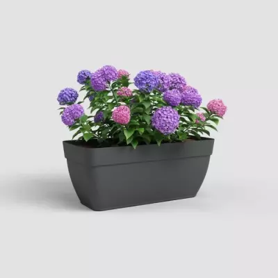 Jardinière XL ARTEVASI CAPRI CAMPANA - Anthracite 80 cm Jardinière XL ARTEVASI CAPRI CAMPANA - Anthracite 80 cm