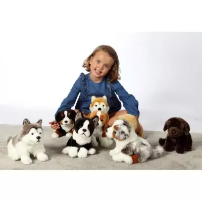 Peluche Chien Berger Australien Assis - 25 cm - Blanc/Marron/Gris/Noir Peluche Chien Berger Australien Assis - 25 cm - Blanc/Marron/Gris/Noir