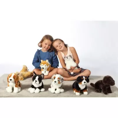 Peluche Chien Berger Australien Assis - 25 cm - Blanc/Marron/Gris/Noir Peluche Chien Berger Australien Assis - 25 cm - Blanc/Marron/Gris/Noir