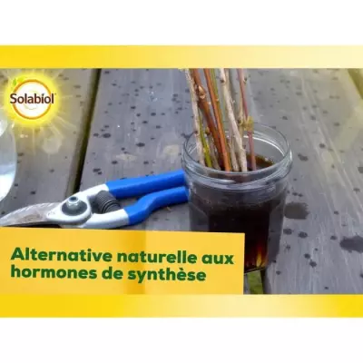 Stimulateur racinaire pour bouturage - SOLABIOL SOBOUTU40 40mL