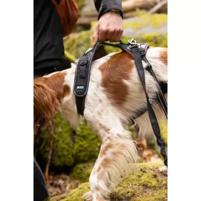 Harnais pour chien SYMBIOZ - XS - Noir/Bleu - Idéal pour les promenades