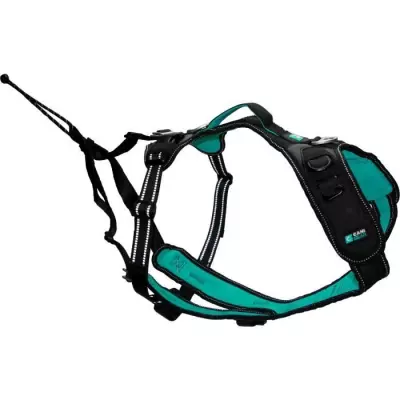 Harnais pour chien SYMBIOZ - L - Noir / Bleu, Pratique et Confortable
