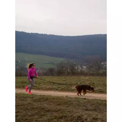 Harnais pour chien SYMBIOZ - L - Noir / Bleu, Pratique et Confortable