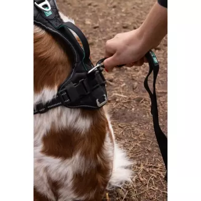 Harnais pour chien SYMBIOZ XXS Noir / Bleu - Taille compacte 