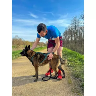 Harnais de traction pour chien - OLYMPIA M - Bleu