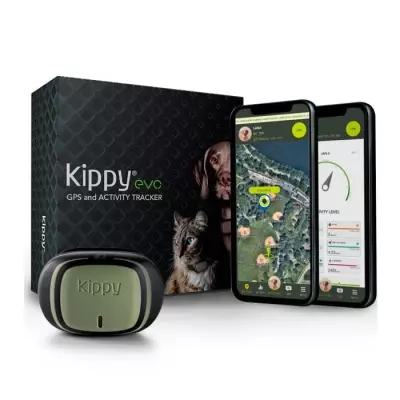 Collier GPS pour Chiens et Chats KIPPY Evo - Waterproof - Green Forest