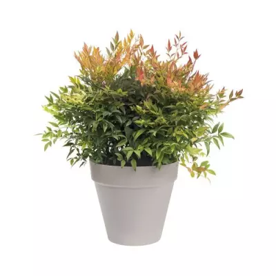 Pot de fleurs rond Loft Urban - Ø 30 cm - Gris anthracite Pot de fleurs rond Loft Urban - Ø 30 cm - Gris anthracite