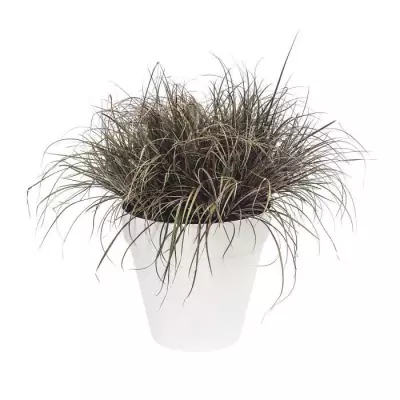 Pot de fleurs rond avec roues Loft Urban - Ø 40 cm - Blanc