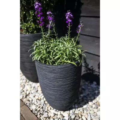 Vase élégant bas noir - CAPI EUROPE - 46 x 58 cm