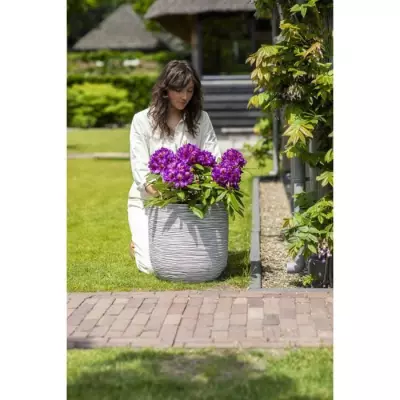 Jardinière Nature Rib 35 x 34 cm Ivoire - Pour un jardin éclatant ! Jardinière Nature Rib 35 x 34 cm Ivoire - Pour un jardin éclatant !