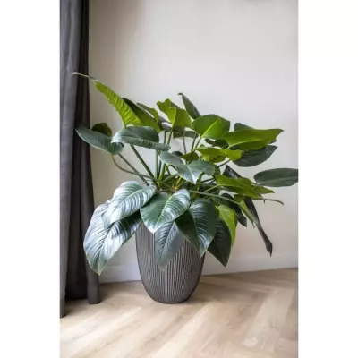 Cache-pot élégant Capi Vase Groove 46x58 cm Anthracite