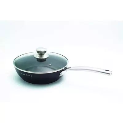 Poêle à frire 20 cm GASTRONOMIE - Qualité professionnelle