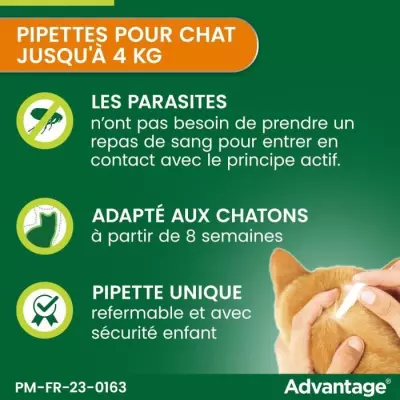 Solution Antipuce Chat Lapin 1 a 4kg - Lot de 6 pipettes