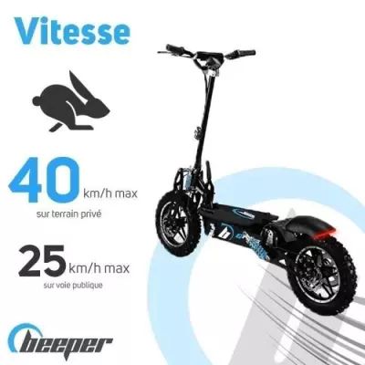 Trottinette Electrique Cross FX1600-S - Puissance 1600W - Noir