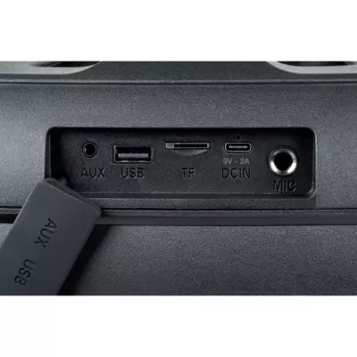 Enceinte lumineuse sans fil - Bluetooth 5.3 - 200W - USB, SD, Aux-In - Micro filaire