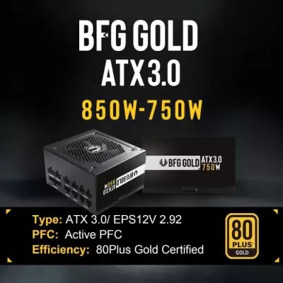 BITFENIX BFG GOLD 850W (80+ Gold) ATX 3.0 - Alimentation PC compacte