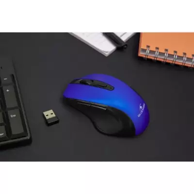 Souris Sans Fil Rechargeable BLUESTORK - Bleu - PC/MAC