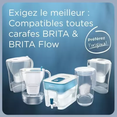 Cartouches Filtre Eau Robinet MAXTRA PRO Expert x4
