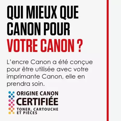 Pack de 5 cartouches d'encre CANON PGI-550 / CLI-551 Noir/Cyan/Magenta/Jaune/Gris