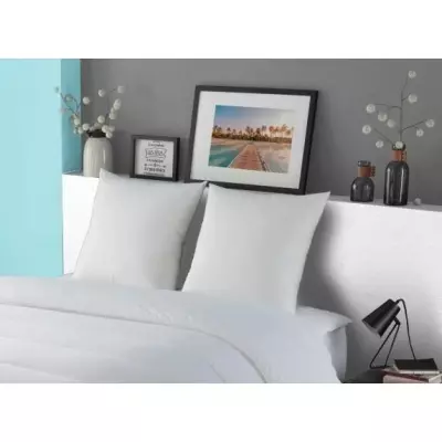 Un confort luxueux avec l'oreiller DODO LUXOR 60x60 cm !