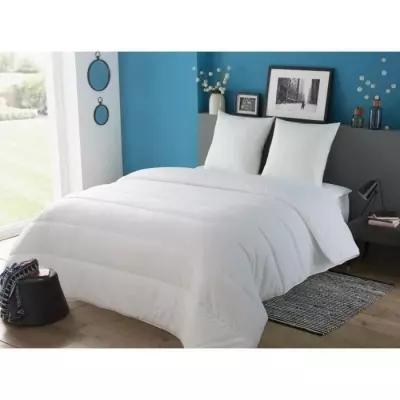 Ensemble de 2 oreillers Tendance 60x60 cm - Fibre polyester - Blanc